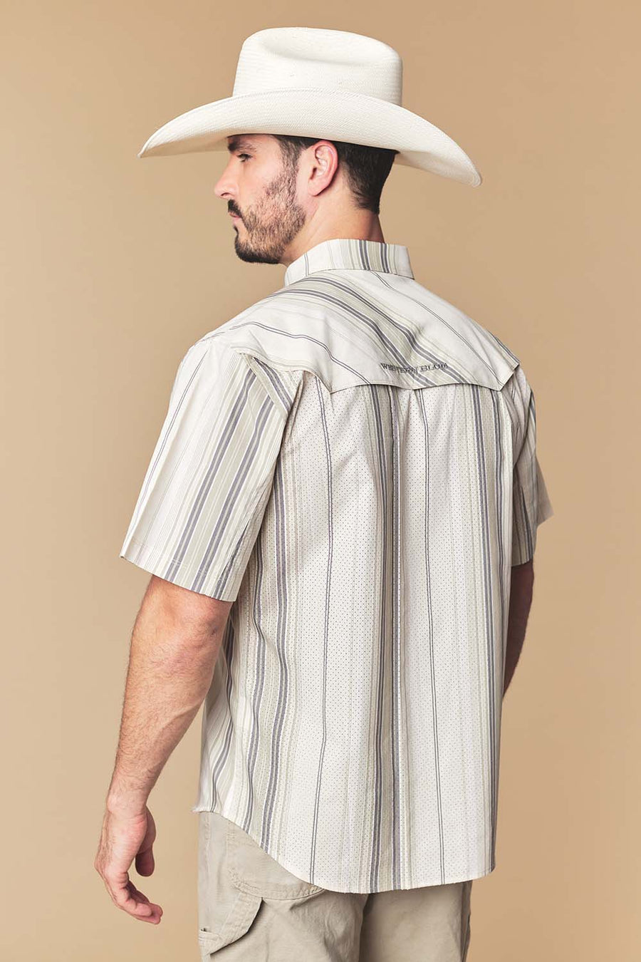 Men's Sand Stripe Western Performance Short Sleeve Shirt
