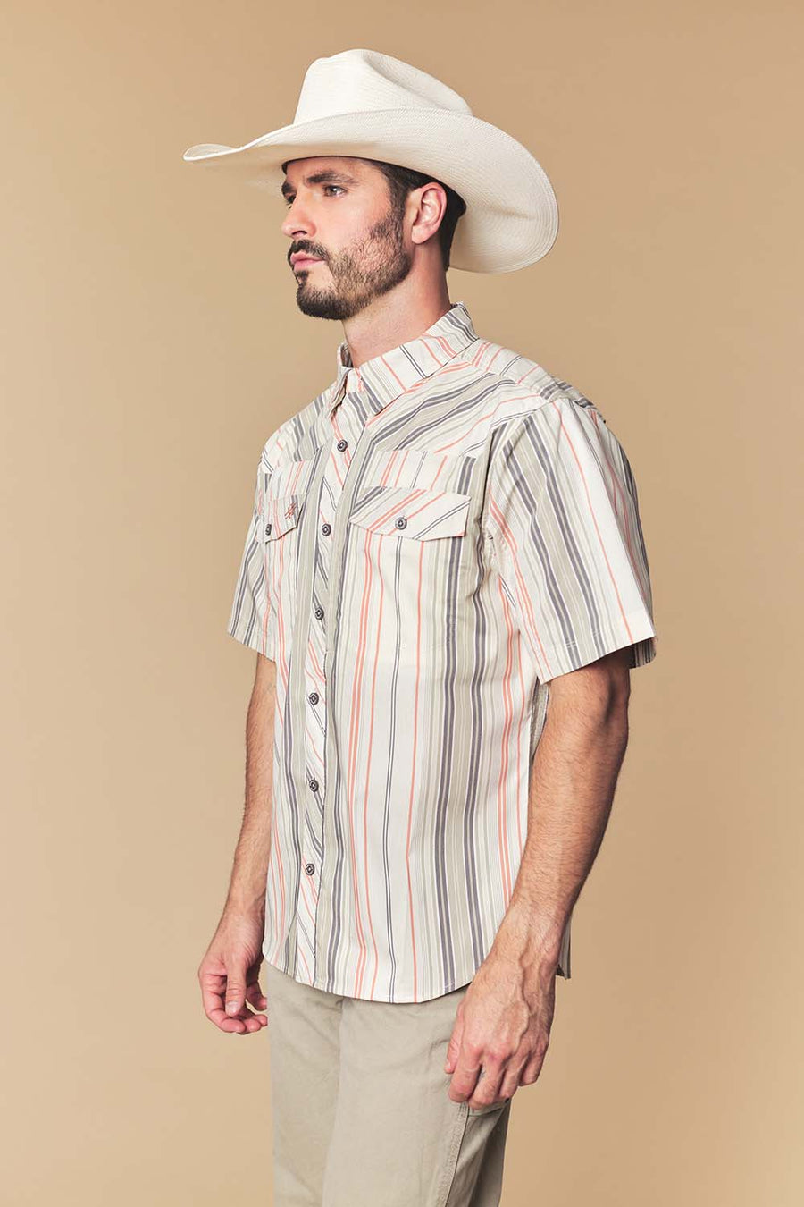 Men's Desert Stripe Western Performance Short Sleeve Shirt