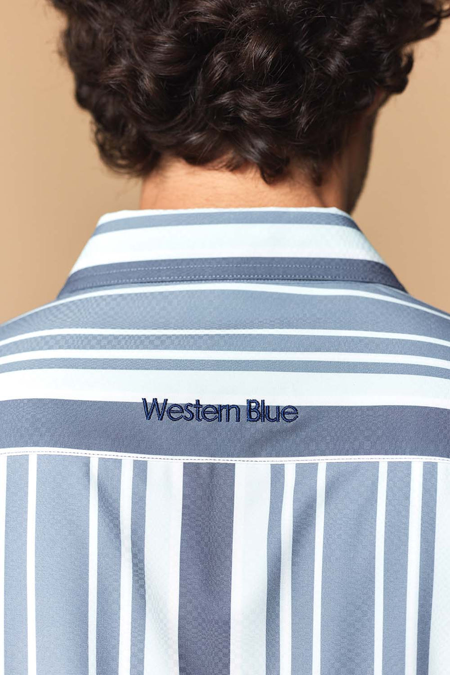 Classic Western Men's Long Sleeve Shirts